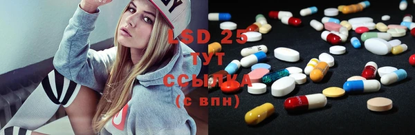 прущие грибы Алзамай
