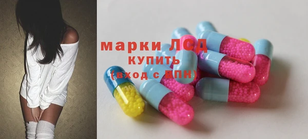 прущие грибы Алзамай
