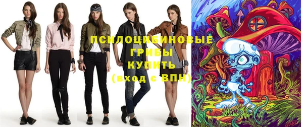 скорость Заводоуковск