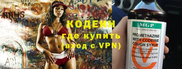 прущие грибы Алзамай