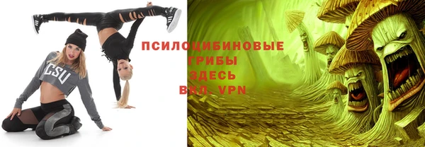 прущие грибы Алзамай